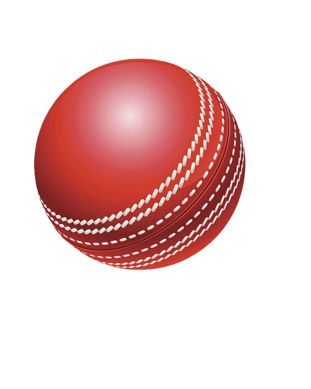 Cricket Ball