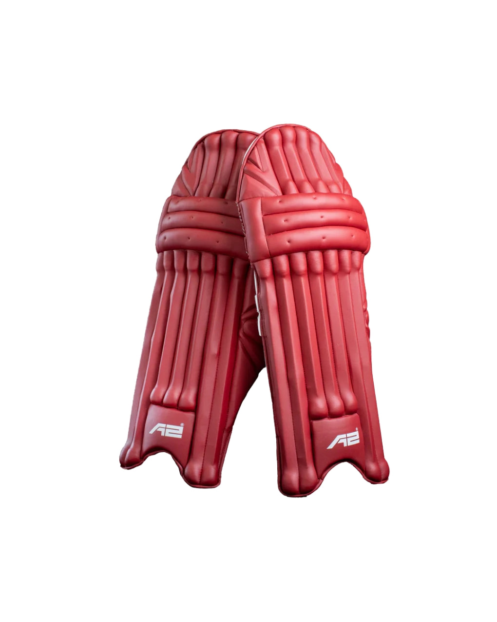 Cricket Batting Pads