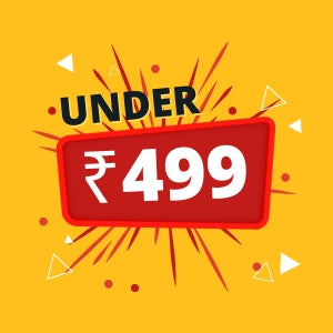 Under ₹499